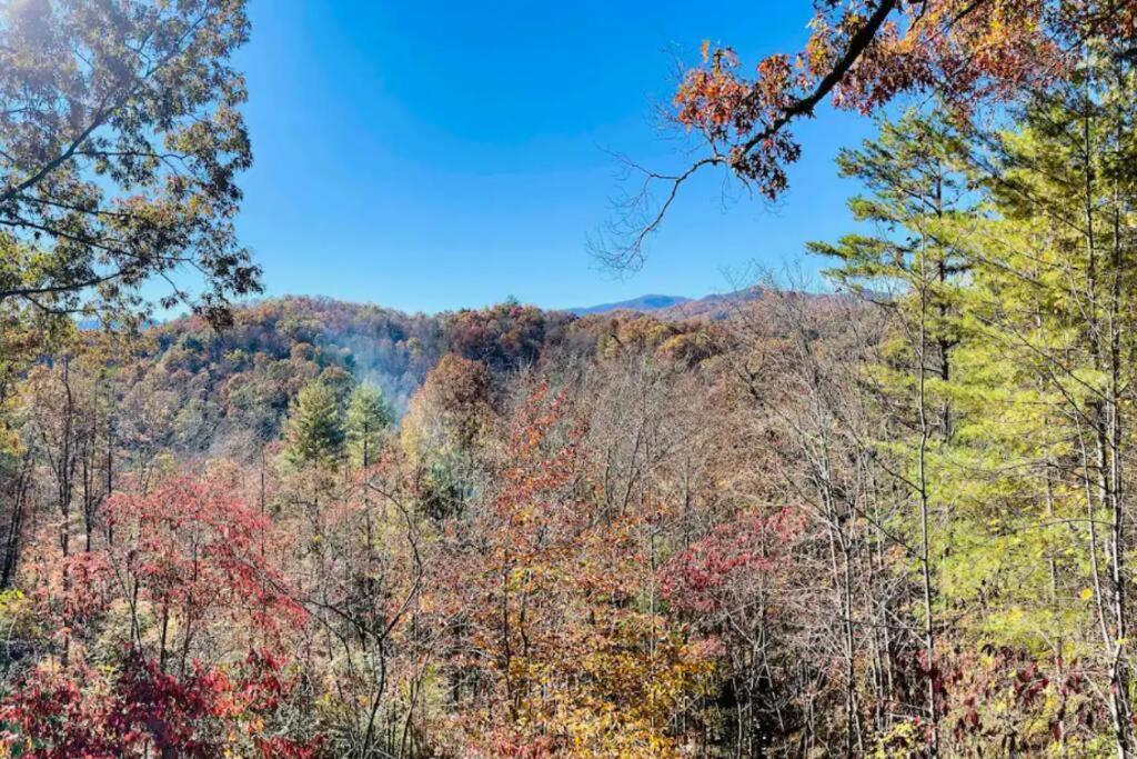 Lazy Bear Cabin Near Nantahala Outdoor Center And บรายซันซิตี ภายนอก รูปภาพ