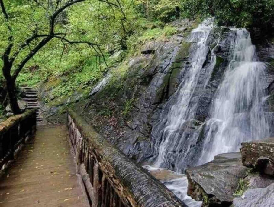 Lazy Bear Cabin Near Nantahala Outdoor Center And บรายซันซิตี ภายนอก รูปภาพ
