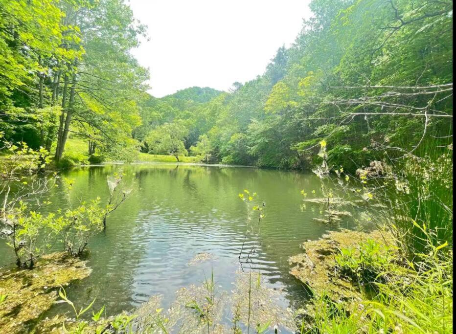 Lazy Bear Cabin Near Nantahala Outdoor Center And บรายซันซิตี ภายนอก รูปภาพ