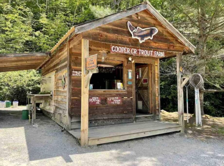 Lazy Bear Cabin Near Nantahala Outdoor Center And บรายซันซิตี ภายนอก รูปภาพ
