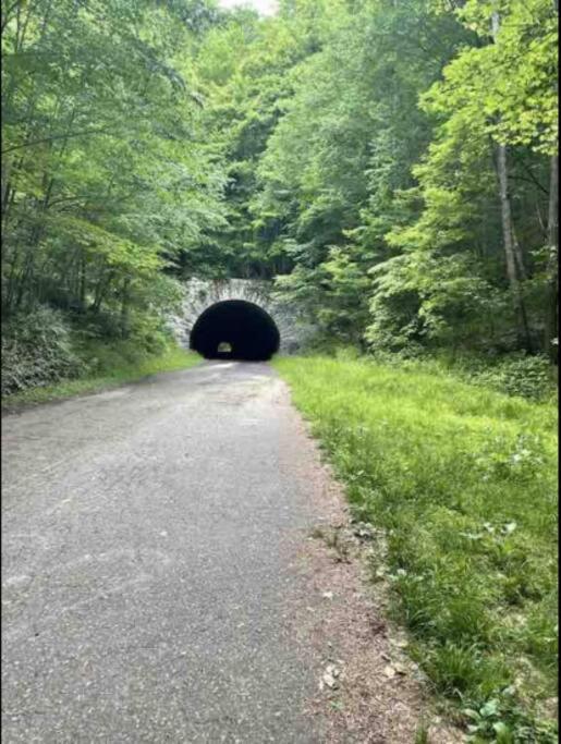 Lazy Bear Cabin Near Nantahala Outdoor Center And บรายซันซิตี ภายนอก รูปภาพ