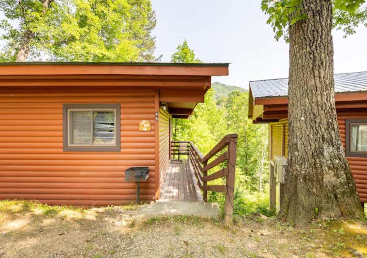 Lazy Bear Cabin Near Nantahala Outdoor Center And บรายซันซิตี ภายนอก รูปภาพ